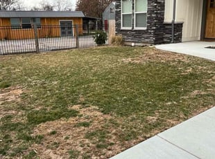 Cleanups by Rachel and Christy Tennes for Mayela H. in Boise, ID