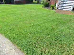 Rochelle F.'s Lawn Care service result