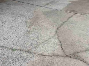 Calvin w.'s Leaf Removal service result