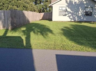 Meghan j.'s Yard Cutting service result