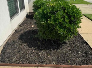 Weeding by Marcus Simon for Jeanetta S. in Baton Rouge, LA