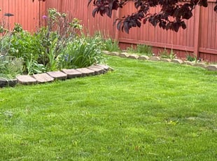 Adam K.'s Lawn Care service result