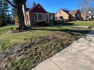 Leaf Removal by Nathan Cotton for Richard C. in Milwaukee, WI