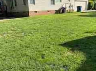 Terry S.'s Lawn Service service result
