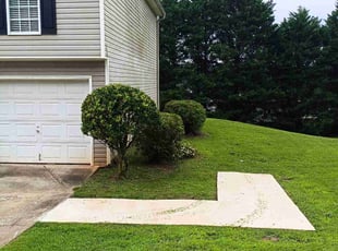 Rushia C.'s Bush Trimming service result