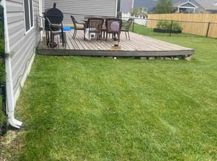 Gloria C.'s Lawn Mowing service result