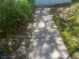 Bush Trimming by Dimas Lopez for Jose A. in Columbia, MD