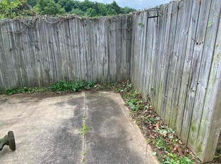 Bush Trimming by Kea Jarvis for Anthony T. in Winston-Salem, NC