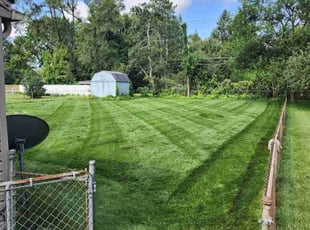 Steven C.'s Lawn Service service result