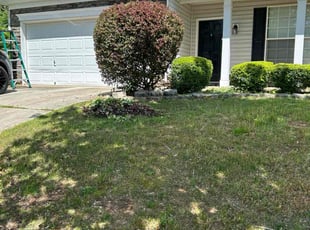 Bush Trimming by Dustin Janes for Courtney S. in Charlotte, NC