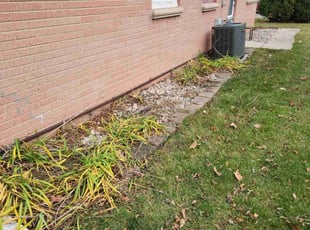 Leaf Removal by Ronnie Anderson for Erika B. in Milwaukee, WI