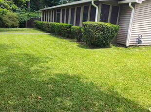 Bush Trimming by Arey Cooper for Amina N. in Atlanta, GA