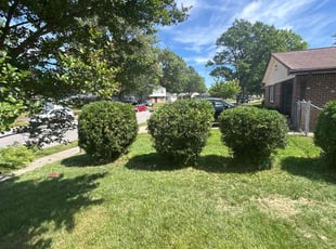 Bush Trimming by Martin Stovall for James w. in Chesapeake, VA