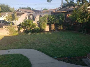 Daniel T.'s Bush Trimming service result