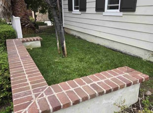Niko M.'s Lawn Mowing service result