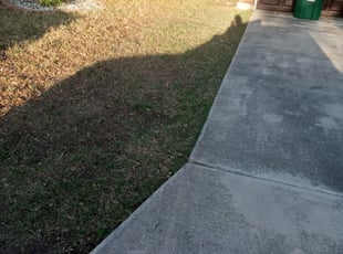 Leaf Removal by Benjamin Garza for James D. in San Antonio, TX