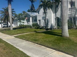 dina B.'s Grass Cutting service result