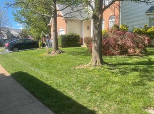 Gail W.'s Lawn Maintenance service result