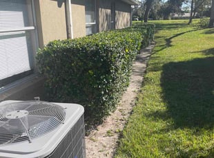 Bush Trimming by Edwin Rios Rosado for Bill L. in DeBary, FL