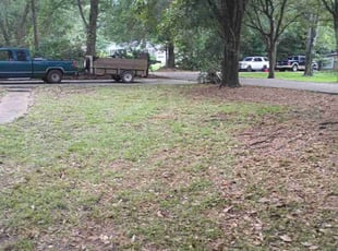 Cathy C.'s Cleanups service result