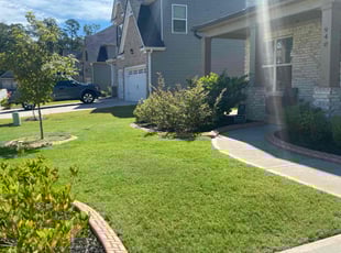 Skylier C.'s Lawn Mowing service result