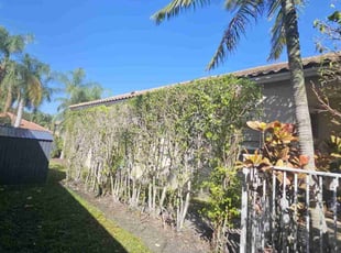 Bush Trimming by Rick Buricca for Eylul O. in Boca Raton, FL
