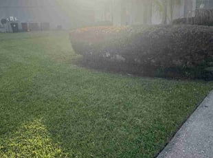 Bush Trimming by Nakia Fleming for Tarah S. in Orange Park, FL