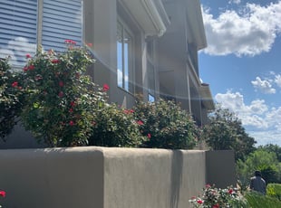 Bush Trimming by Adel Baker for roy f. in San Antonio, TX