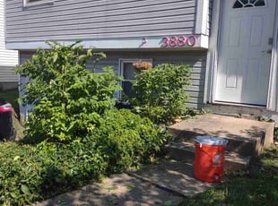 Bush Trimming by Daniel Bunch for Chad C. in Columbus, OH