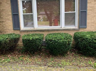 Bush Trimming by Natalie Jones for Kevin K. in Frankfort, IL