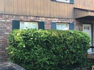 Bush Trimming by Josh Neely for Carla T. in Nashville, TN