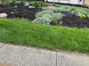 Mulching by Alex Sanner for Linda F. in Dublin, OH