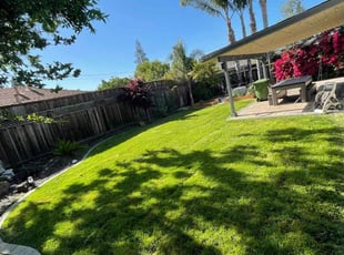 Cleanups by Luis Enrique Rafael Chavez for Lan W. in San Jose, CA