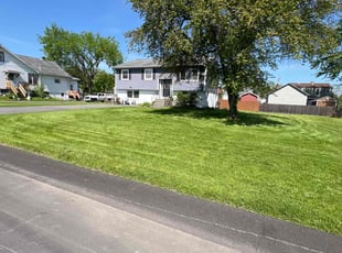 Ronald C.'s Lawn Service service result