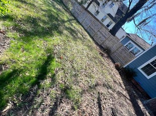 Leaf Removal by Caree Keith for Ancil C. in Washington, DC
