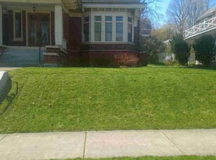 Brian R.'s Lawn Mowing service result