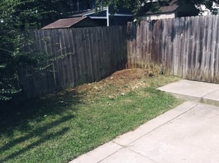 Cleanups by Milan McDaniel for Kathryn P. in Nashville, TN