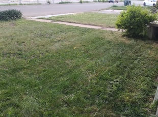 Leaf Removal by Jace Evi for Sara L. in Ogden, UT