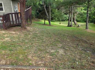 Shannon S.'s Bush Trimming service result