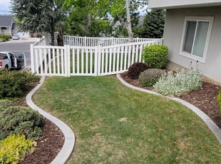 Cleanups by Bryan Medlyn for Adam B. in Provo, UT