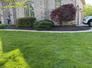 Bush Trimming by Luis Contreras for Jim H. in Fortville, IN