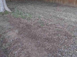 Leaf Removal by John Brown for Mariana L. in McKinney, TX