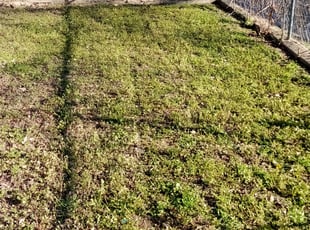 Leaf Removal by Gralin Johnson for 3413 Livingston Ave Fort Worth, TX 76110 A. in Fort Worth, Tx