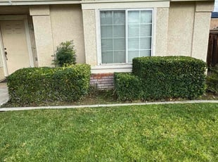 Bush Trimming by Jvon Robinson for Lance O. in San Bernardino, CA