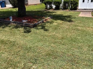 Laura W.'s Lawn Maintenance service result