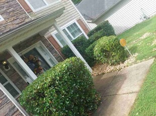 Bush Trimming by Abimelech (Ace) Colvon for Hope H. in Fairburn, GA