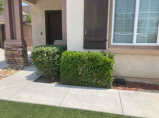 Devyn P.'s Bush Trimming service result