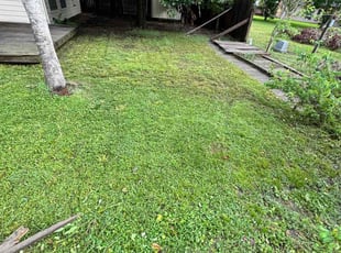 Leaf Removal by Carlos Hurtado Rivera for Isis B. in Katy, TX