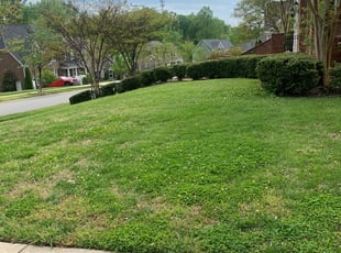 Cleanups by Chance Rosenberger for Nathan C. in Concord, NC