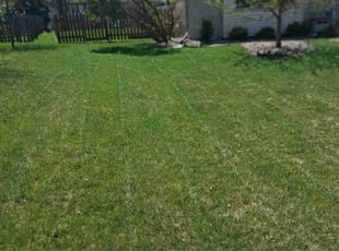 Christopher C.'s Grass Cutting service result